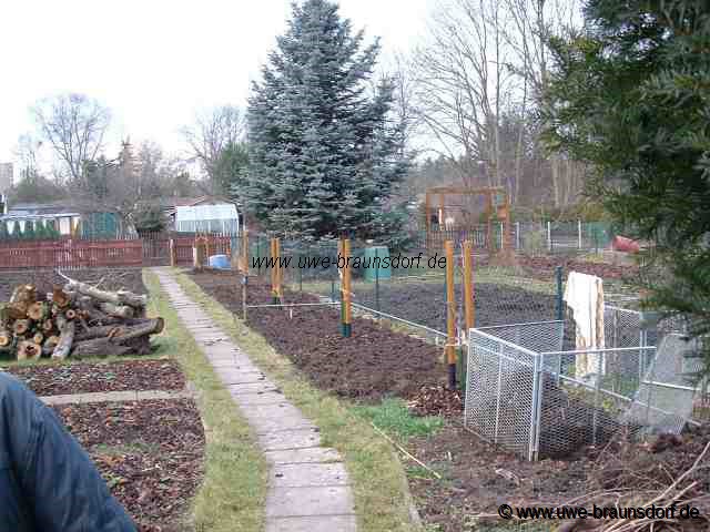 Frhlingsstimmung im Dezember 2005