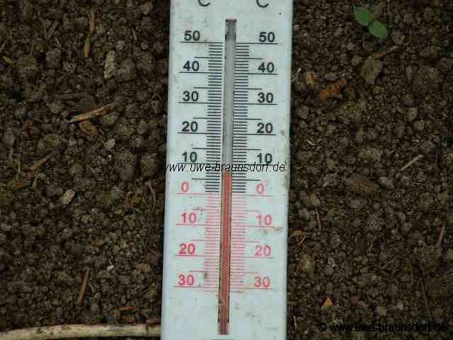 Temperatur im Gewächshaus.