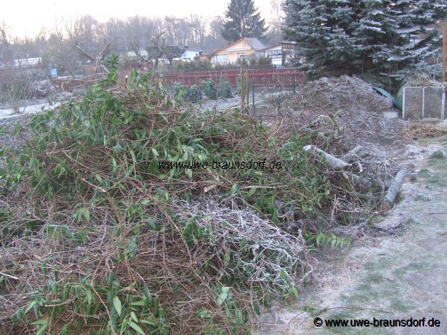 Baum- und Strauchschnitt zum verbrennen