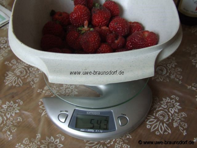 Erdbeeren Sorte  Mieze Schindler 