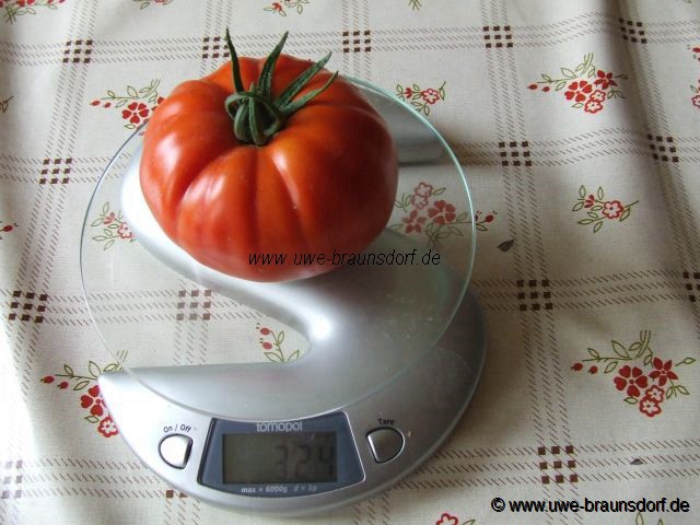 Tomaten