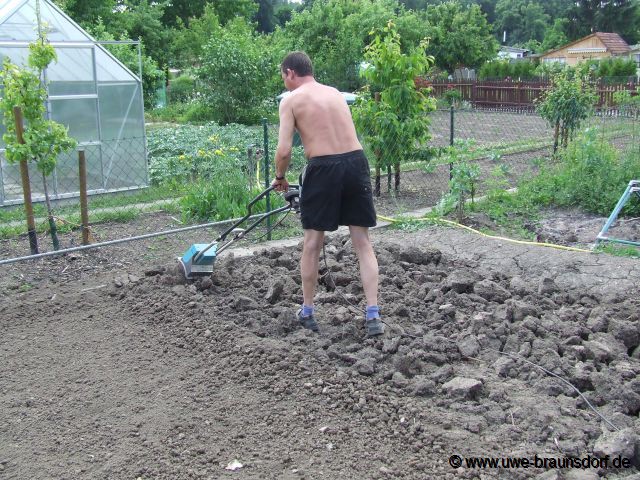 Herrichtung Gartenland, Beete