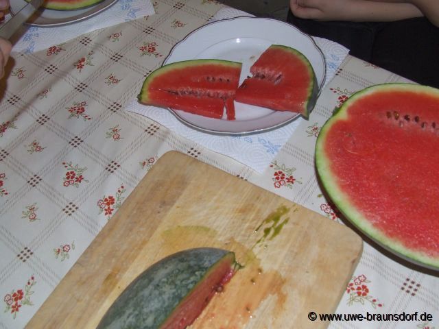 Melone Sorte Sugar Baby (Papa) - Siegermelone beim Wettbewerb 2008