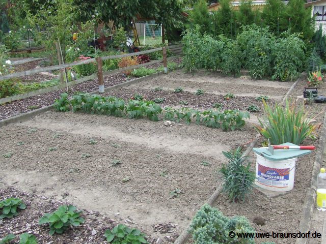 Unkraut im 3. Garten ziehen