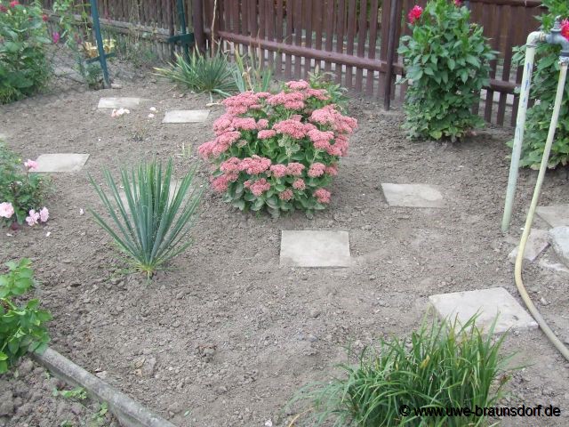 Unkraut im 3. Garten ziehen