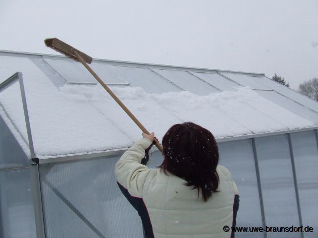 Schnee vom Gewächshaus kehren