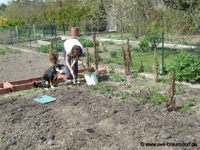 Wieder ein Stück Gartenland vorbereiten