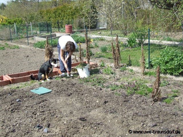 Wieder ein Stück Gartenland vorbereiten