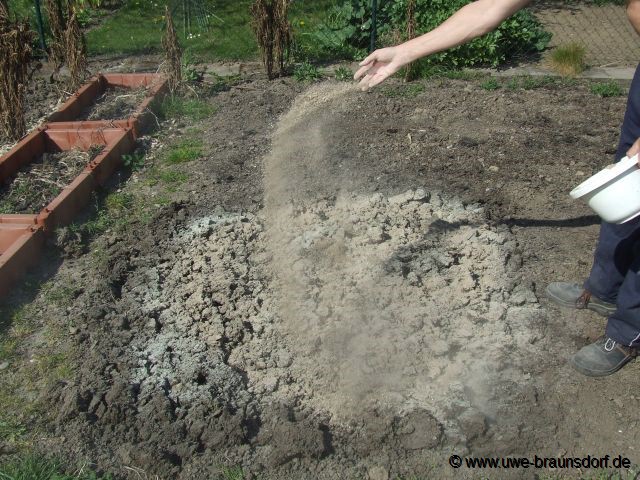 Beete vorbereiten, hier Urgesteinsmehl und Kalk aufbringen, anschließend einharken