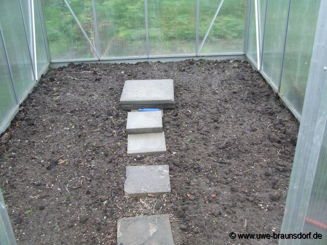 Vorbereitung Gewächshaus im 2. Garten für Winterblumenkohl Sorte Walcheren 5