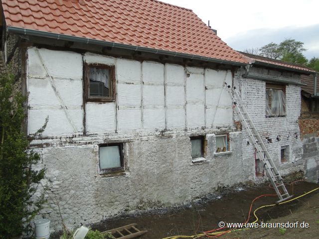 Rückseite Haus streichen mit Sumpfkalk im Verhältnis 1:3 und einer Bürste mit Naturhaarborsten (Chinaborsten)
