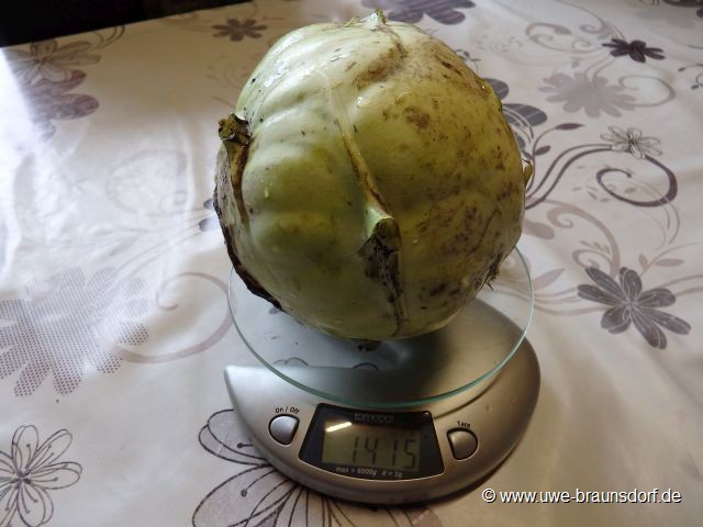 Kohlrabi, 1415 g