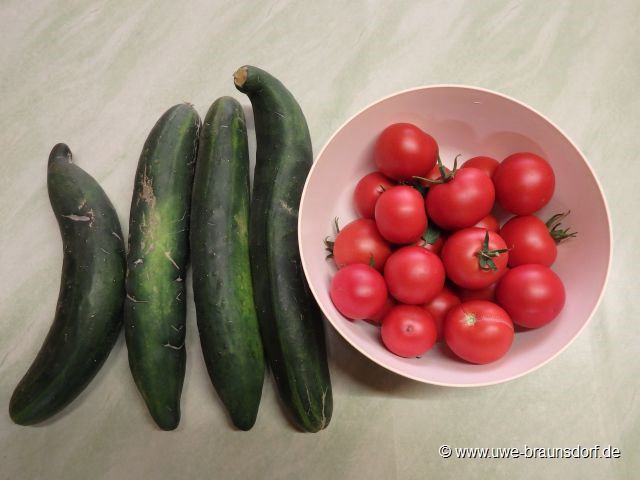 ErntebTomaten und Gurken