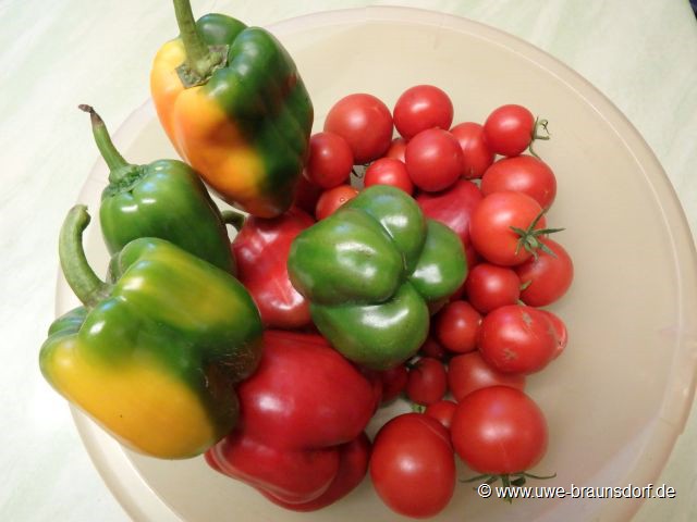 Ernte 2015, hier: Tomaten und Paprika aus dem Gewächshaus